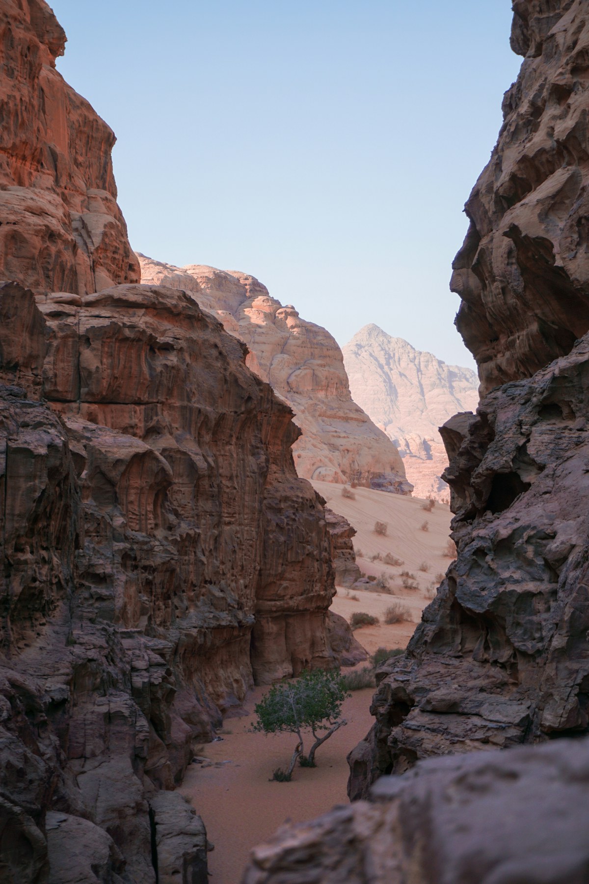 Desert canyon in southern Jordan