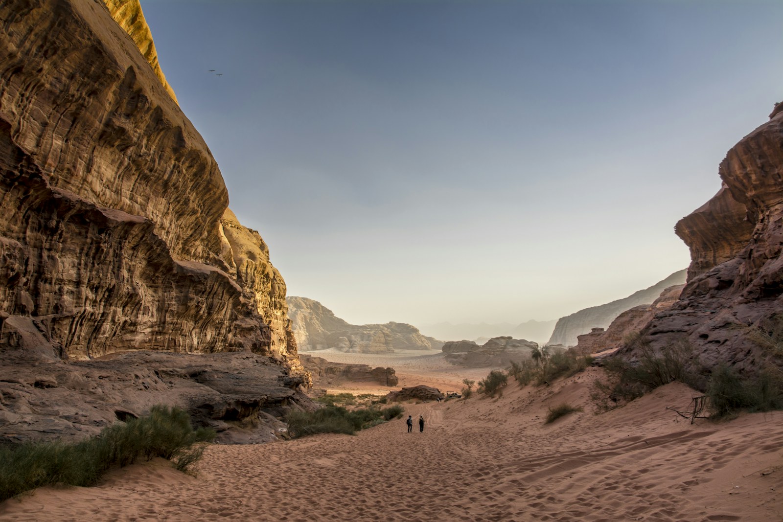 Desert canyon road in Jordan